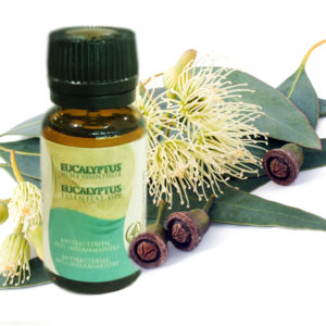 Huile Essentielle d'Eucalyptus par Atlas Cosmetics
